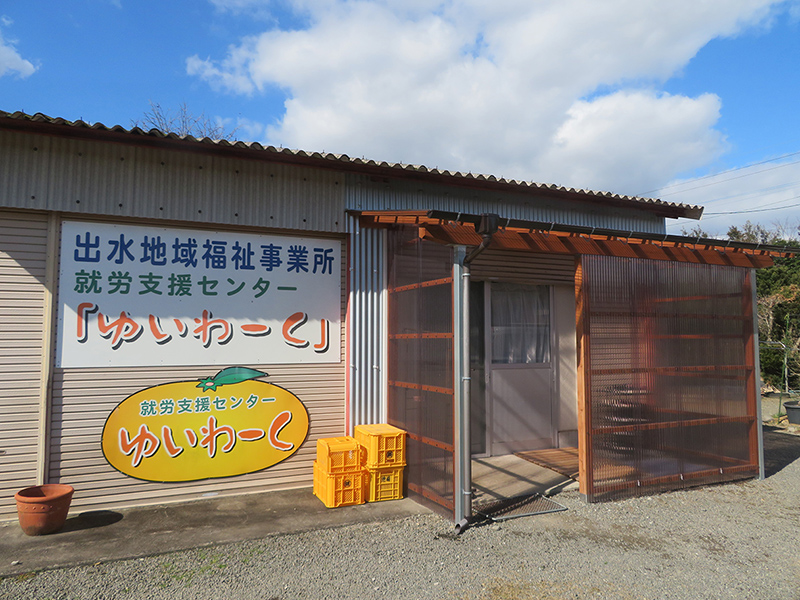 センター　出水地福さくらんぼ 　就Bゆいわーく　Ｂ級トマトをピューレに加工　ＪＡ鹿児島いずみ、愛知ヨークと連携